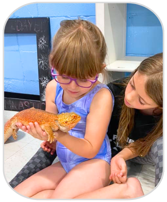 AIM Gymnastics - Ajax, Belleville, Pickering (6)